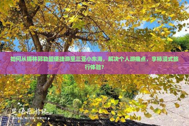 如何从锡林郭勒盟便捷游至三亚小东海，解决个人游痛点，享柿浸式旅行体验？