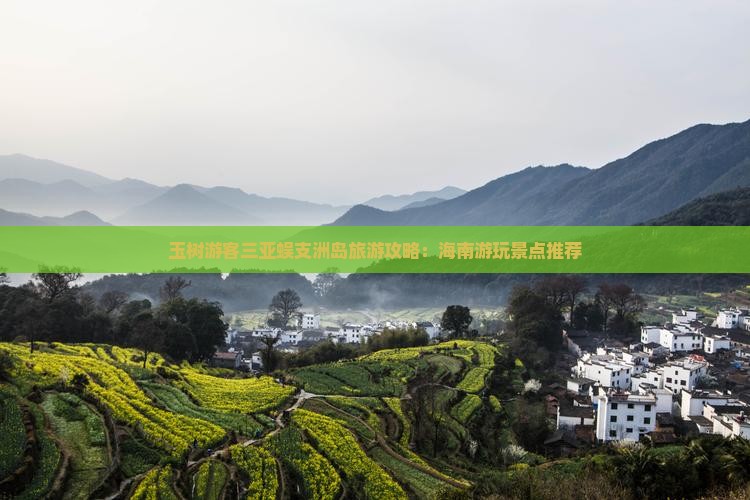 玉树游客三亚蜈支洲岛旅游攻略：海南游玩景点推荐