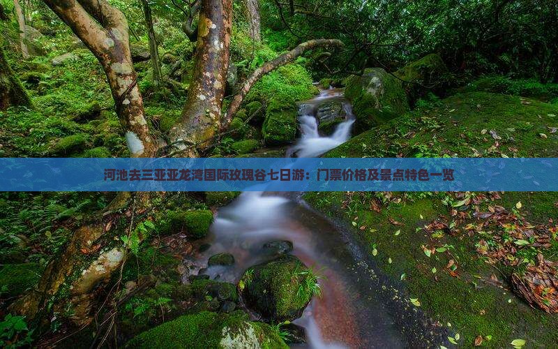 河池去三亚亚龙湾国际玫瑰谷七日游：门票价格及景点特色一览