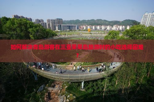 如何解决青岛游客在三亚呆呆岛旅游时的小吃选择困难？