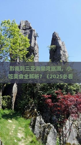 黔南去三亚海棠湾旅游小吃