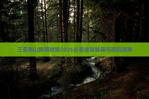 大丰出发三亚南山文化旅游区自由团