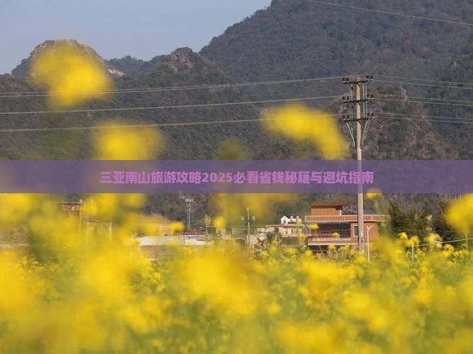 大丰出发三亚南山文化旅游区自由团