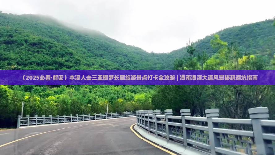 本溪去三亚椰梦长廊旅游打卡点