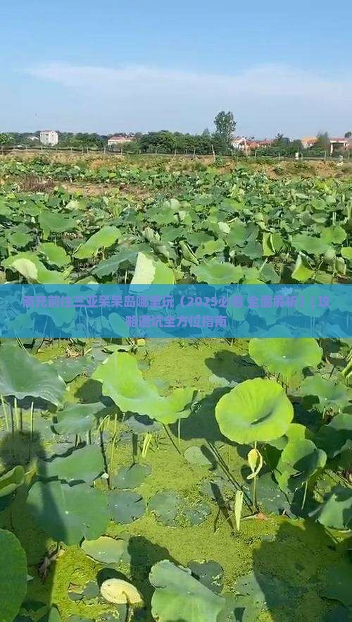 南充前往三亚呆呆岛哪里玩