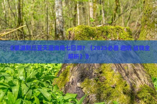 巢湖去三亚天涯海角七日游