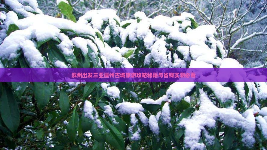 滨州出发三亚崖洲古城个人游