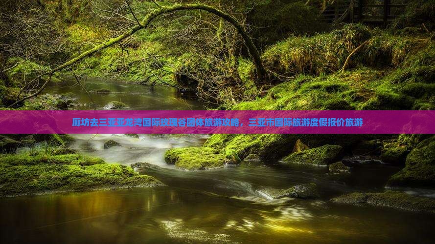 廊坊去三亚亚龙湾国际玫瑰谷团体旅游