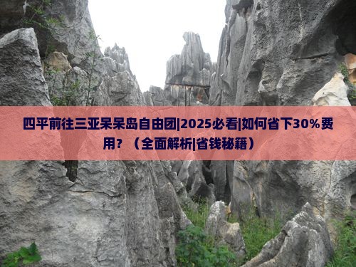 四平前往三亚呆呆岛自由团