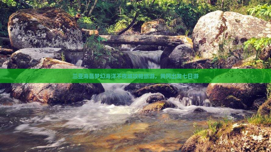 黄冈去三亚海昌梦幻海洋不夜城七日游