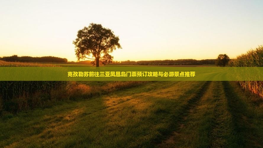 克孜勒苏前往三亚凤凰岛门票