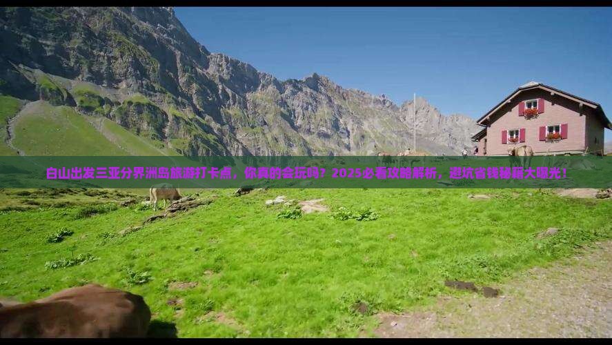 白山出发三亚分界洲岛旅游打卡点