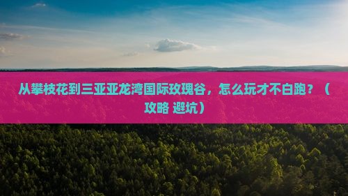 攀枝花前往三亚亚龙湾国际玫瑰谷旅游打卡点