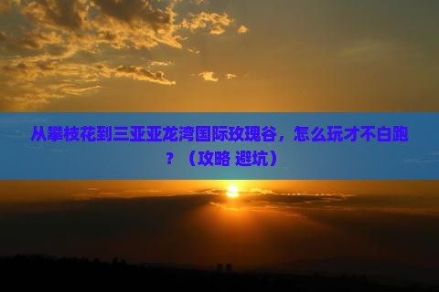 攀枝花前往三亚亚龙湾国际玫瑰谷旅游打卡点