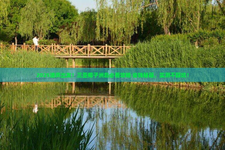 迪庆前往三亚椰子洲岛必玩地