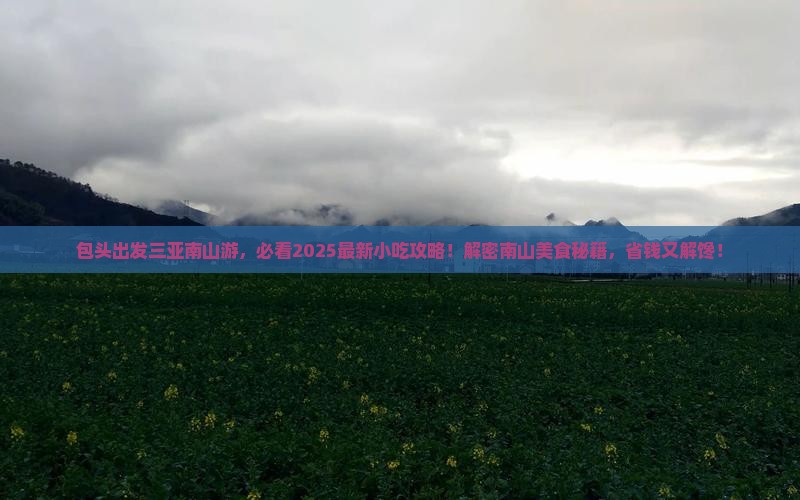 包头出发三亚南山文化旅游区旅游小吃