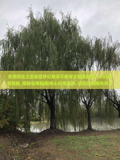 安顺前往三亚海昌梦幻海洋不夜城大型旅游团