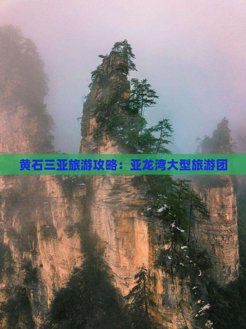 黄石去三亚亚龙湾大型旅游团