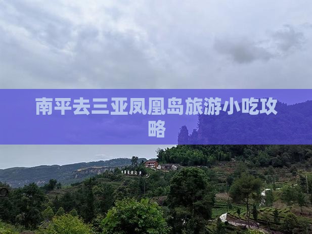 南平去三亚凤凰岛旅游小吃