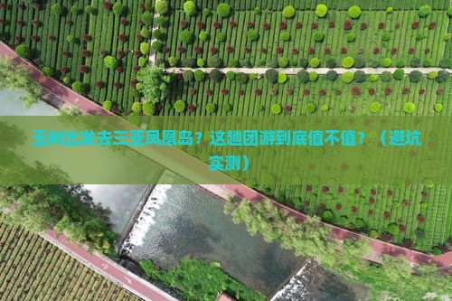 玉树去三亚凤凰岛团体旅游