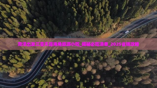 菏泽出发三亚天涯海角旅游小吃