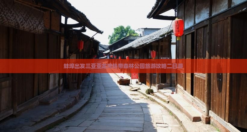 蚌埠出发三亚亚龙湾热带森林公园二日游