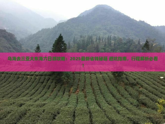 乌海市去三亚大东海六日游