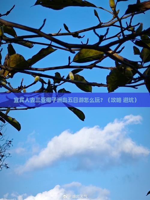 宜宾去三亚椰子洲岛五日游