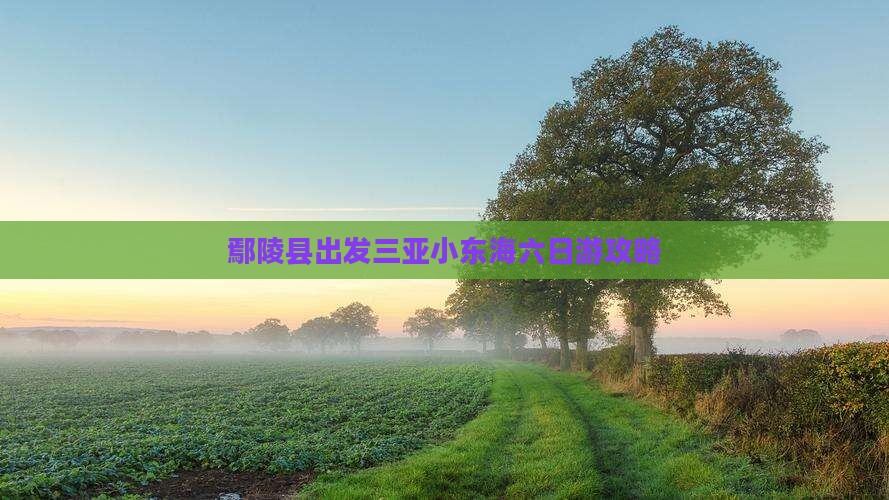 鄢陵县出发三亚小东海六日游