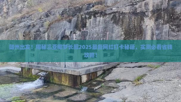 随州出发三亚椰梦长廊旅游网红地点