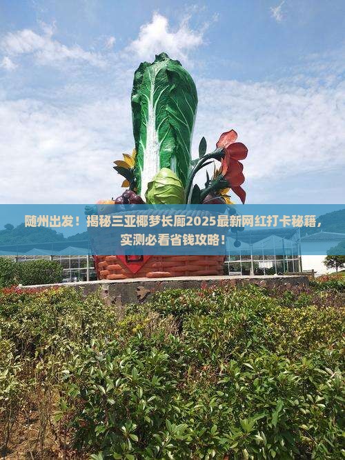 随州出发三亚椰梦长廊旅游网红地点