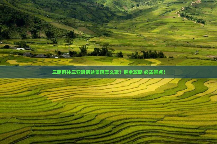 三明前往三亚呀诺达景区旅行社