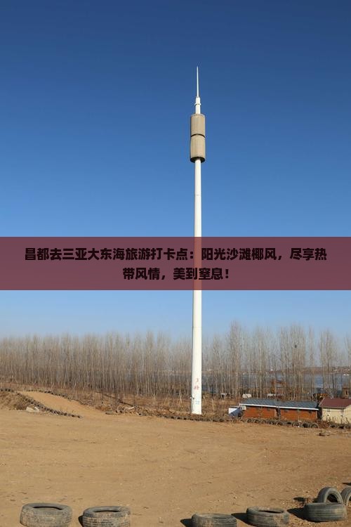昌都去三亚大东海旅游打卡点