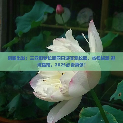 衡阳去三亚椰梦长廊四日游