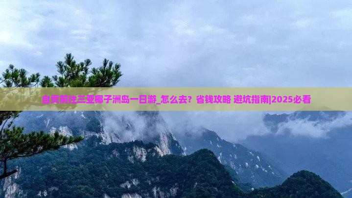 自贡前往三亚椰子洲岛一日游