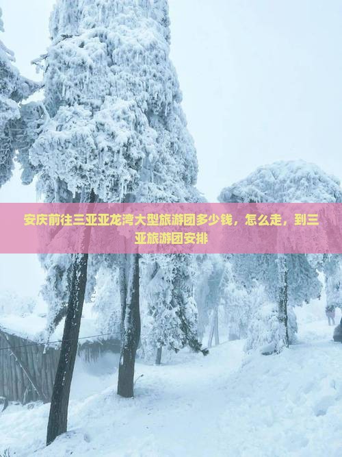 安庆前往三亚亚龙湾大型旅游团