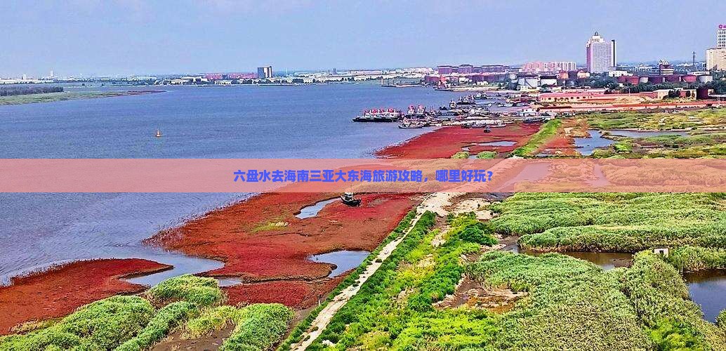 六盘水去三亚大东海哪里玩