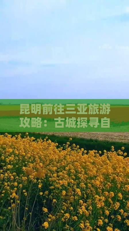 昆明前往三亚崖洲古城自由团