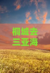 桐城去三亚海棠湾自由行