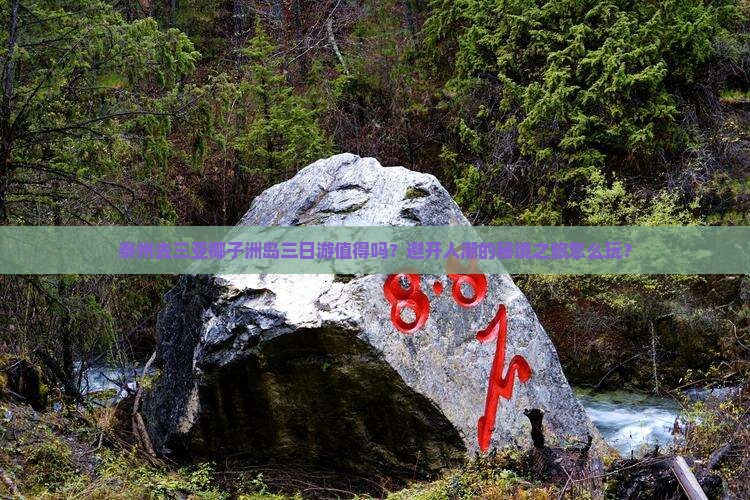 泰州前往三亚椰子洲岛三日游