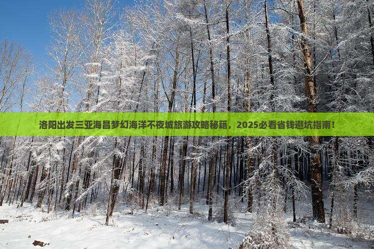 洛阳出发三亚海昌梦幻海洋不夜城旅游打卡点