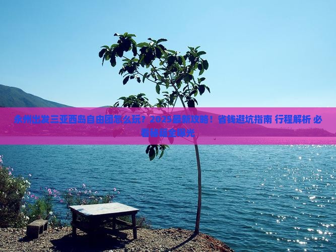 永州出发三亚西岛自由团