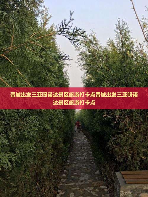 晋城出发三亚呀诺达景区旅游打卡点