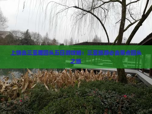 上饶去三亚鹿回头五日游