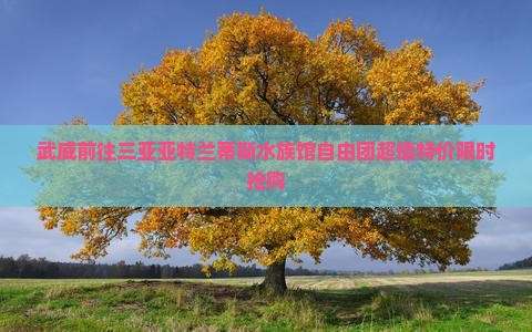 武威前往三亚亚特兰蒂斯水族馆自由团