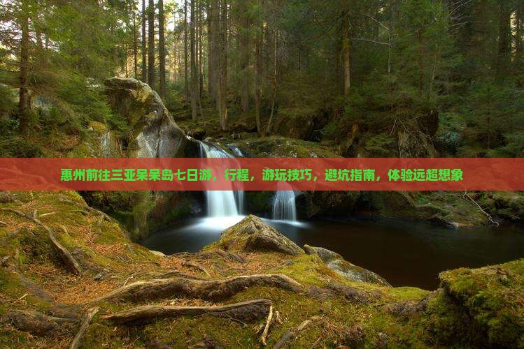 惠州前往三亚呆呆岛七日游