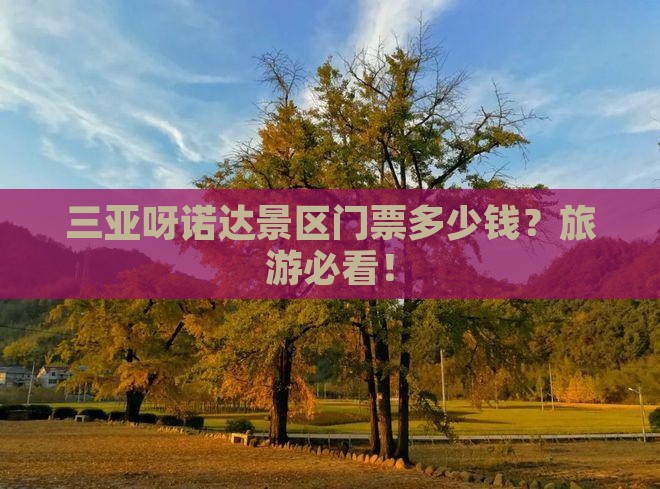 松原去三亚呀诺达景区门票