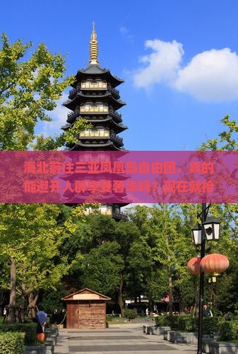 海北前往三亚凤凰岛自由团