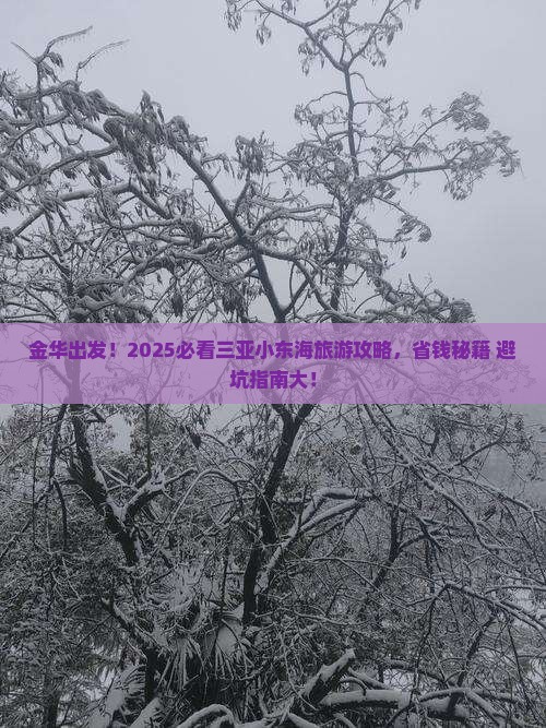 金华前往三亚小东海大型旅游团