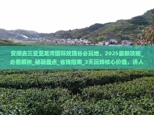 安顺去三亚亚龙湾国际玫瑰谷必玩地
